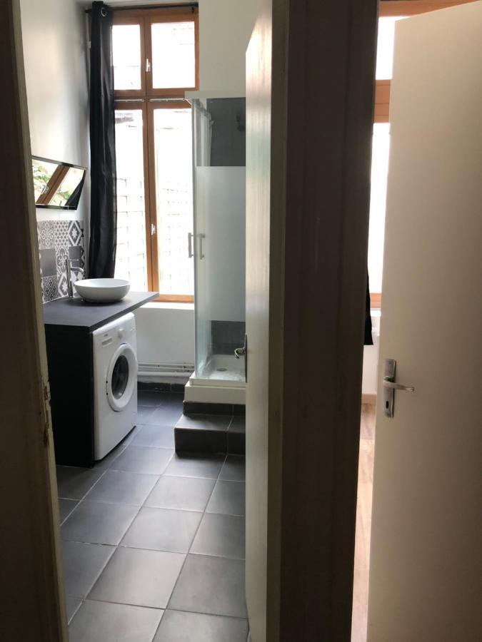Appartement Et Son Jardin A Lille Fac De Droit Екстериор снимка